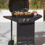Gas Barbecue BBQ 2 Burner Metal Griller Meat Food Grill