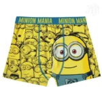 Boys Swimming Shorts Minion New