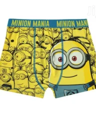 Boys Swimming Shorts Minion New